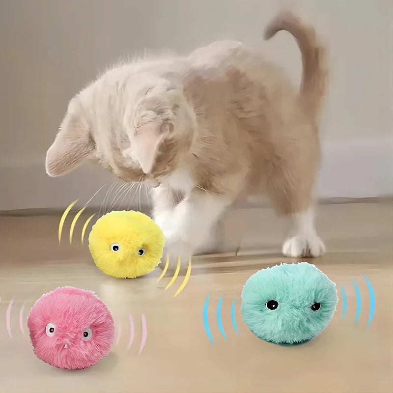 Interactive Catnip Cat Training Playing Squeaky Ball Toy for Cats