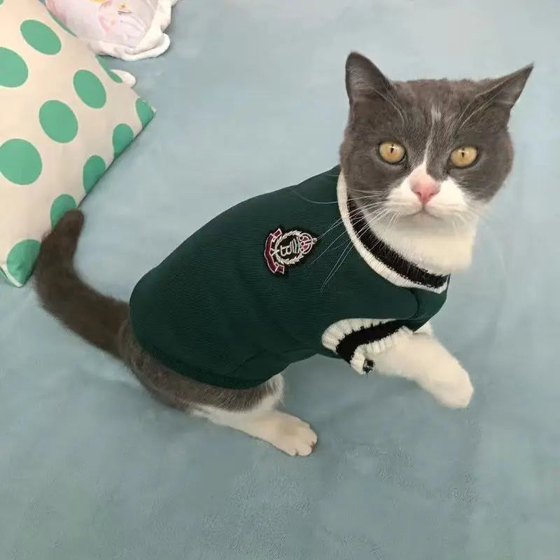 Pet Solid Costume Cat Clothes (Autumn Winter Sweater) for Small Cats