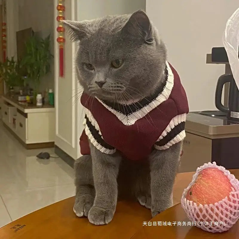 Pet Solid Costume Cat Clothes (Autumn Winter Sweater) for Small Cats