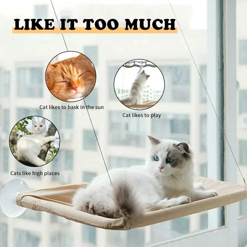 Cat Hammock Window Seat ,Washable, Detachable and Suction Shelf Bag Beds Seat For Cats