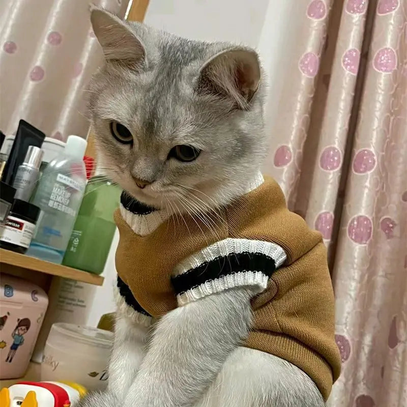 Pet Solid Costume Cat Clothes (Autumn Winter Sweater) for Small Cats