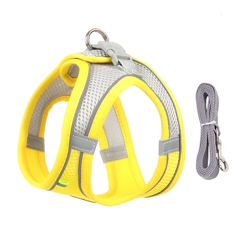 Adjustable Dog and Cat Collar for Outdoor Walking Lead Leash