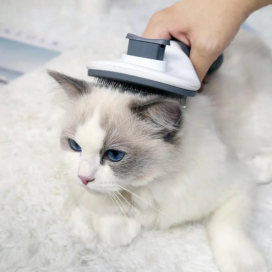 Cat Comb Cleaning Household Goods One Click Hair Removal