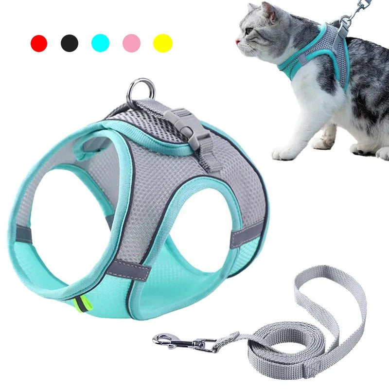 Adjustable Dog and Cat Collar for Outdoor Walking Lead Leash