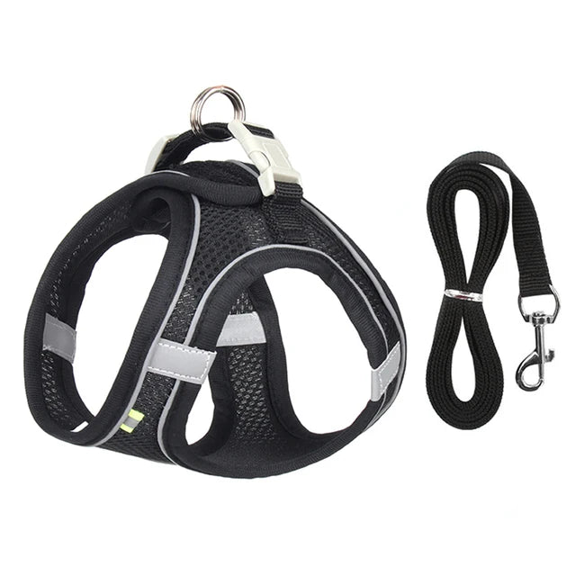 Adjustable Dog and Cat Collar for Outdoor Walking Lead Leash