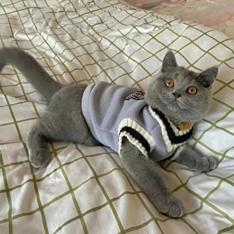 Pet Solid Costume Cat Clothes (Autumn Winter Sweater) for Small Cats