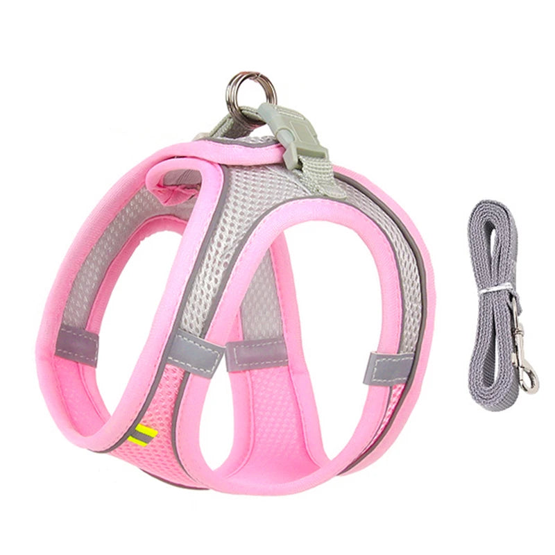 Adjustable Dog and Cat Collar for Outdoor Walking Lead Leash